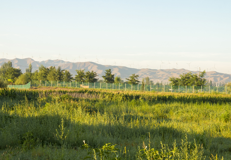 ���n��(d��)�ص����B(t��i)�l��