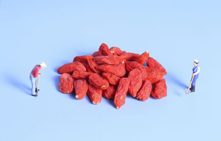 ��������轹���11